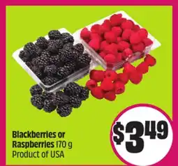 Chalo FreshCo Blackberries or Raspberries 170 g Product of USA offer