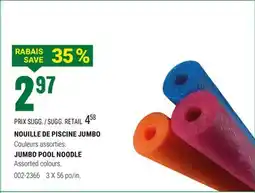 BMR NOUILLE DE PISCINE JUMBO offer