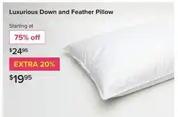 Linen Chest Luxurious Down and Feather Pillow offer