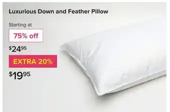 Linen Chest Luxurious Down and Feather Pillow offer