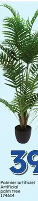 Rossy palm tree offer