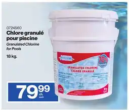 Patrick Morin Granulated Chlorine for Pools offer