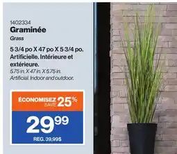 Patrick Morin Grass offer