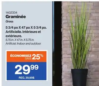 Patrick Morin Grass offer