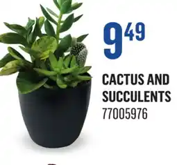 Canac Cactus and Succulents offer