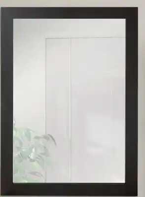 Canac Rectangular Mirror with Frame Black 28 in. x 40 in offer