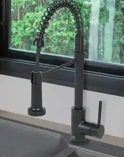 Canac Massimo Kitchen Faucet offer