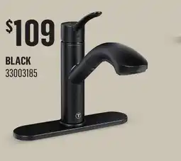 Canac Alessio 1-Handle Pull-Out Kitchen Faucet offer