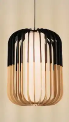 Canac Alvize 1-Light Pendant offer