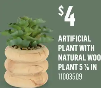 Canac Artificial Plant with Natural Wood Plant offer