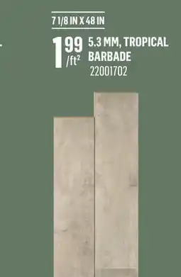Canac SPC Vinyl Flooring offer