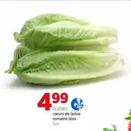 Avril cœurs de laitue romaine bios offer