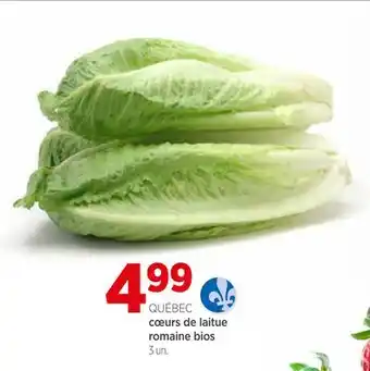 Avril cœurs de laitue romaine bios offer