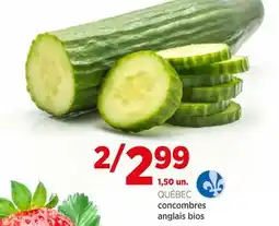 Avril concombres anglais bios offer