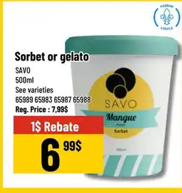Mayrand Sorbet or gelato 500 ml SAVO Quebec offer