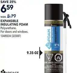 RONA EXPANSIBLE INSULATING FOAM offer