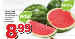 L'Intermarché MELON D'EAU SANS PÉPINS offer