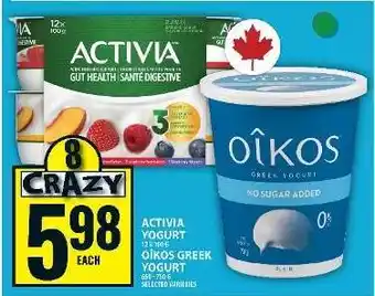 Food Basics ACTIVIA YOGURT / OIKOS GREEK YOGURT offer