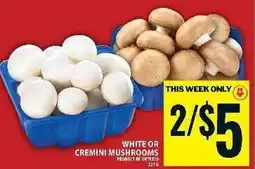 Food Basics WHITE OR CREMINI MUSHROOMS offer