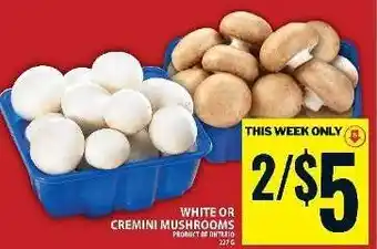 Food Basics WHITE OR CREMINI MUSHROOMS offer