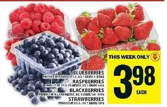 Food Basics Blueberries, Raspberries, Blackberries, Strawberries offer