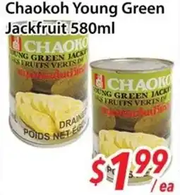 Bestco Food Mart Chaokoh young green jackfruit offer