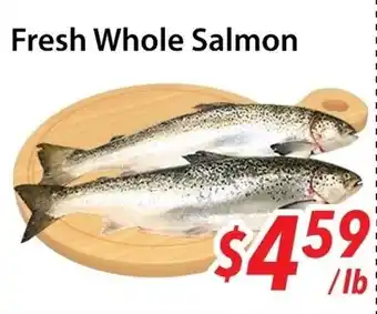 Bestco Food Mart Fresh whole salmon offer
