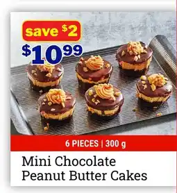 M & M Food Market Mini Chocolate Peanut Butter Cakes offer