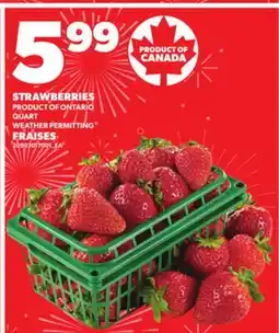 Independent City Market FRAISES offer