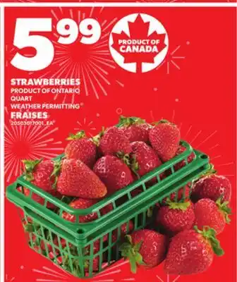 Independent City Market FRAISES offer