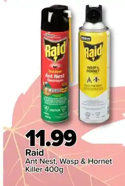 PharmaChoice Raid Ant Nest Wasp & Hornet Killer offer
