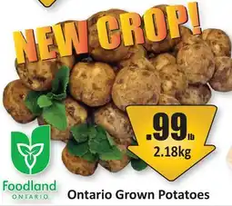 Starsky Ontario Grown Potatoes offer
