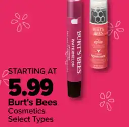 PharmaChoice Burt's Bees Cosmetics offer