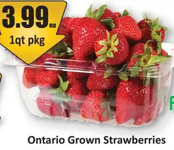 Starsky Ontario Grown Strawberries offer
