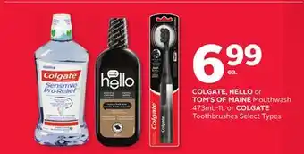 Rexall COLGATE, HELLO or TOM'S OF MAINE Mouthwash 473mL-1L or COLGATE Toothbrushes offer