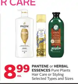 Rexall PANTENE or HERBAL ESSENCES Pure Plants Hair Care or Styling offer