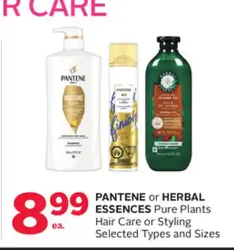 Rexall PANTENE or HERBAL ESSENCES Pure Plants Hair Care or Styling offer