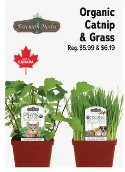 Ren’s Pets Depot Organic Catnip & Grass offer