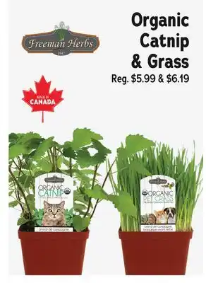 Ren’s Pets Depot Organic Catnip & Grass offer