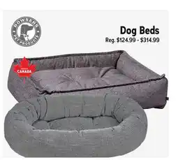 Ren’s Pets Depot Dog Beds offer