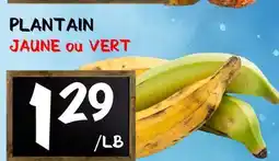 Marche Salaberry PLANTAIN offer