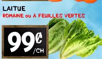 Marche Salaberry LAITUE offer