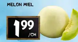 Marche Salaberry MELON MIEL offer