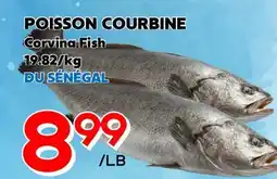 Marche Salaberry POISSON COURBINE offer