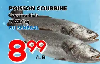 Marche Salaberry POISSON COURBINE offer