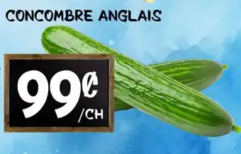 Marche Salaberry CONCOMBRE ANGLAIS offer