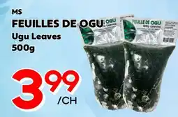 Marche Salaberry FEUILLES DE OGU MS offer