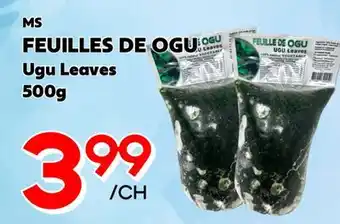 Marche Salaberry FEUILLES DE OGU MS offer