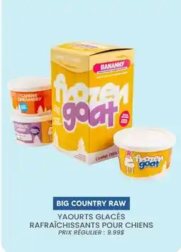 Chico YAOURTS GLACÉS RAFRAÎCHISSANTS POUR CHIENS BIG COUNTRY RAW offer