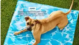 Chico TAPIS RAFRAÎCHISSANT POUR CHIENS 26.5X20 PO | 38X32 PO JUMP! offer